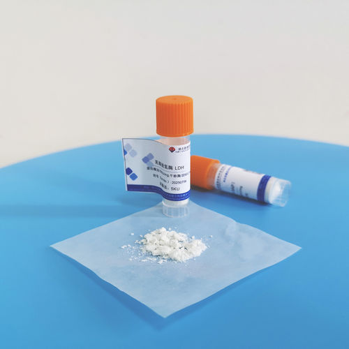 Latest company news about Подвержена ли инактивации активность глицеролкиназы? Не пропустите эти детали!