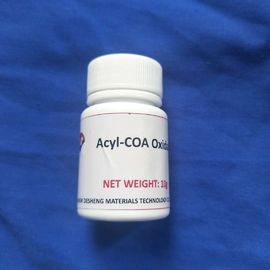 Faint Yellow Acyl Coa Oxidase / High Purity Aco Enzyme CAS NO. 61116-22-1
