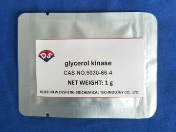 CAS NO. 9030-66-4 Glycerol Kinase Assay / Glycerol Buffer 99.95% Complies